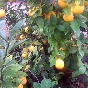 Meet your Posher, Don